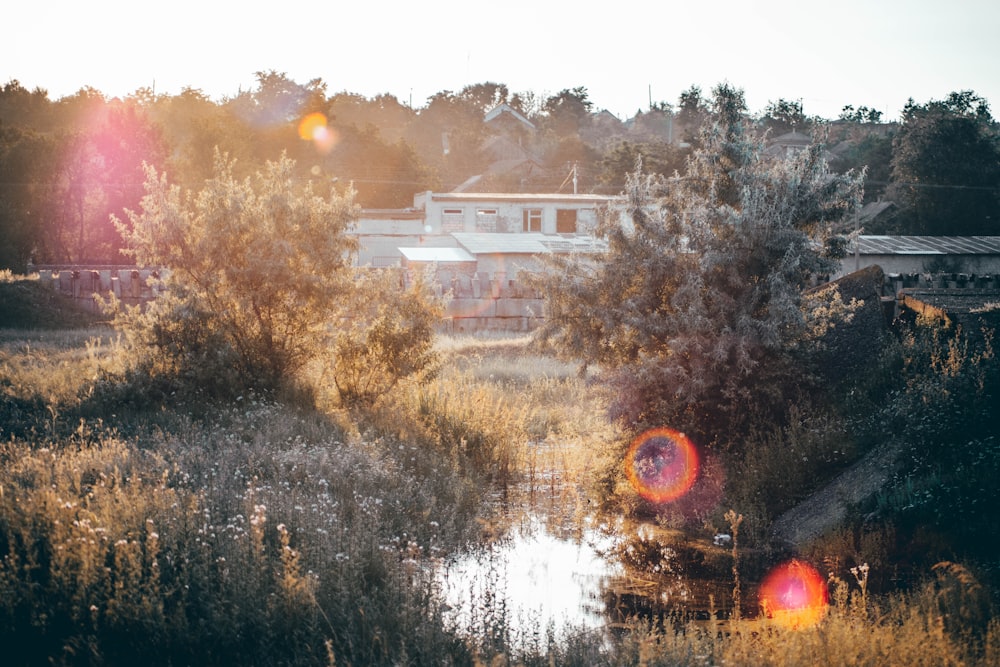 Maison blanche et brune près des arbres verts et de la rivière pendant la journée