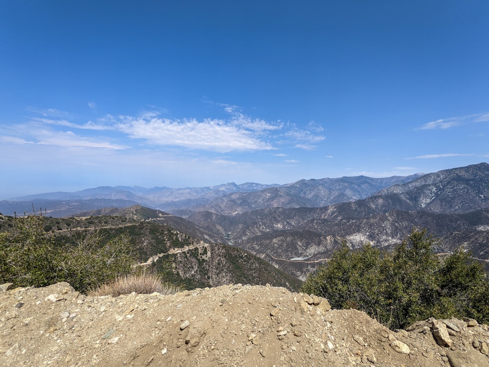 green trees on mountain under blue sky during daytime