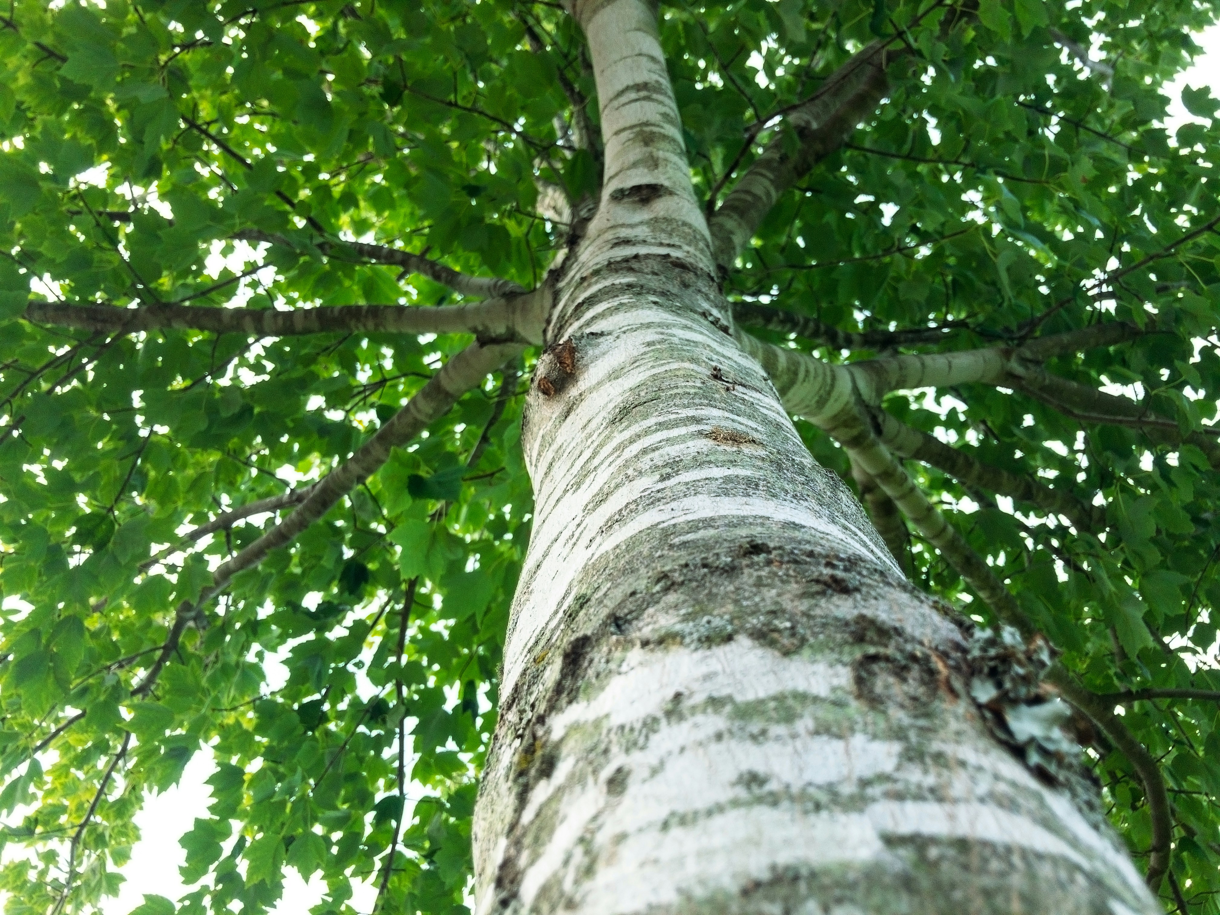 Photo by islandcinematics