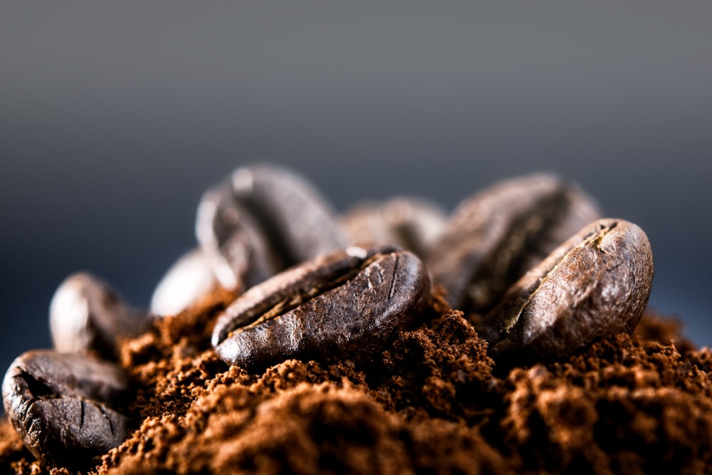 piedras grises sobre suelo marrón