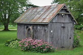 A small, weathered wooden shed stands in a lush garden. The roof of the shed is rusted, and the siding is worn. Surrounding the shed are vibrant green plants and blooming pink flowers. Tall trees in the background offer shade, creating a peaceful and serene atmosphere.