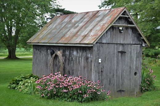 A small, weathered wooden shed stands in a lush garden. The roof of the shed is rusted, and the siding is worn. Surrounding the shed are vibrant green plants and blooming pink flowers. Tall trees in the background offer shade, creating a peaceful and serene atmosphere.