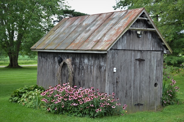 A small, weathered wooden shed stands in a lush garden. The roof of the shed is rusted, and the siding is worn. Surrounding the shed are vibrant green plants and blooming pink flowers. Tall trees in the background offer shade, creating a peaceful and serene atmosphere.