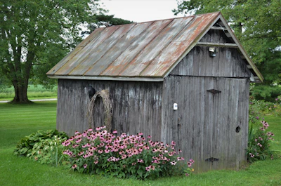 A cozy wooden shed nestled in a lush backyard with blooming flowers around it.