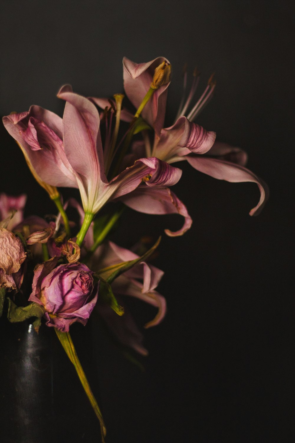 pink and white flower in clear glass vase