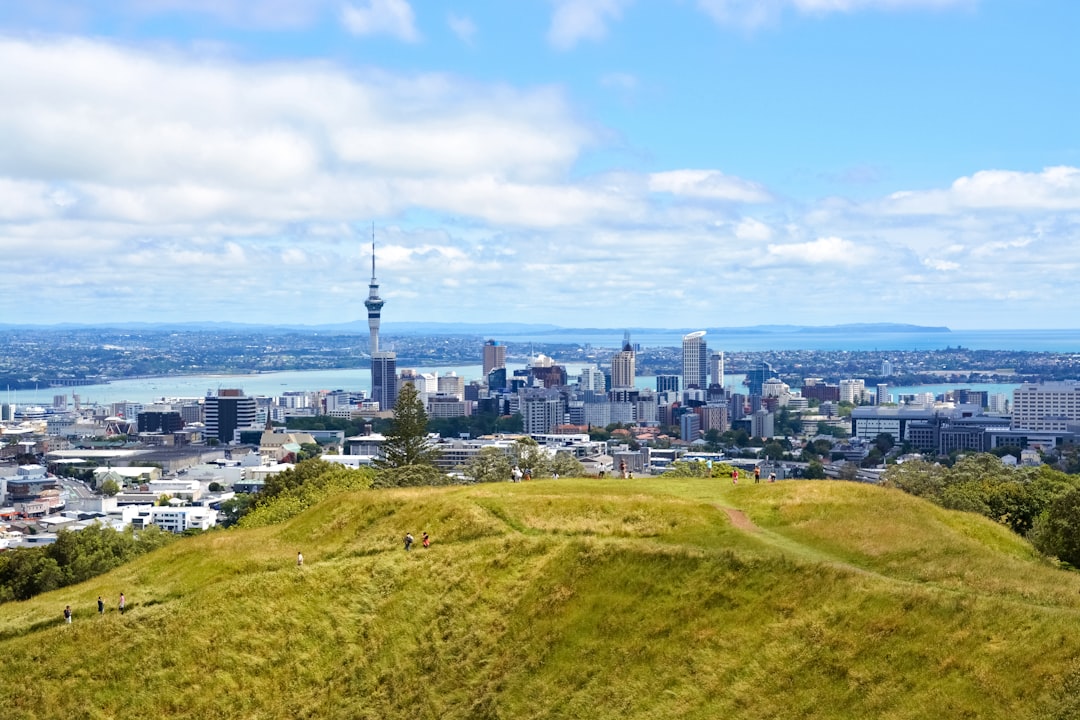 green grass field near city buildings under blue sky during daytime