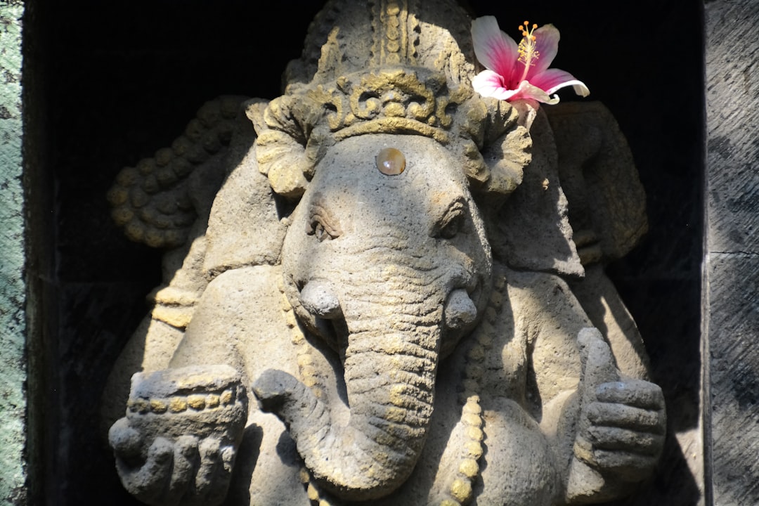 grey elephant with pink flower on head