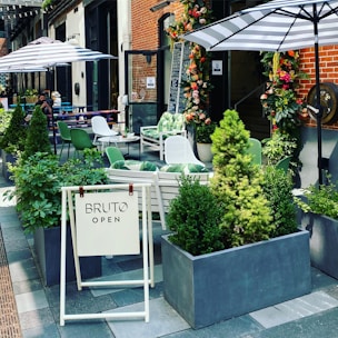 Outdoor patio with seating area and decorative plants.