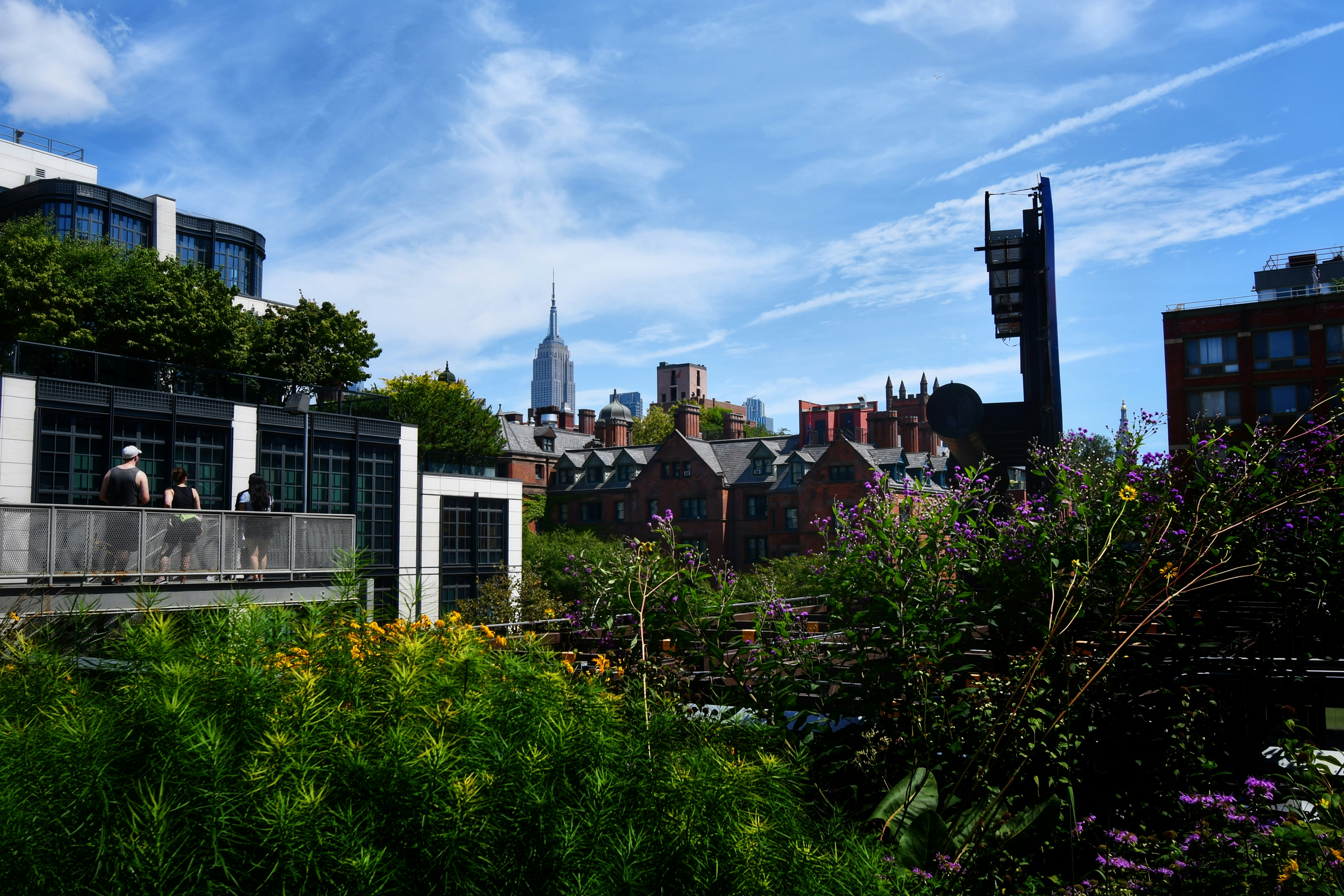 A garden on the high line in Chelsea
