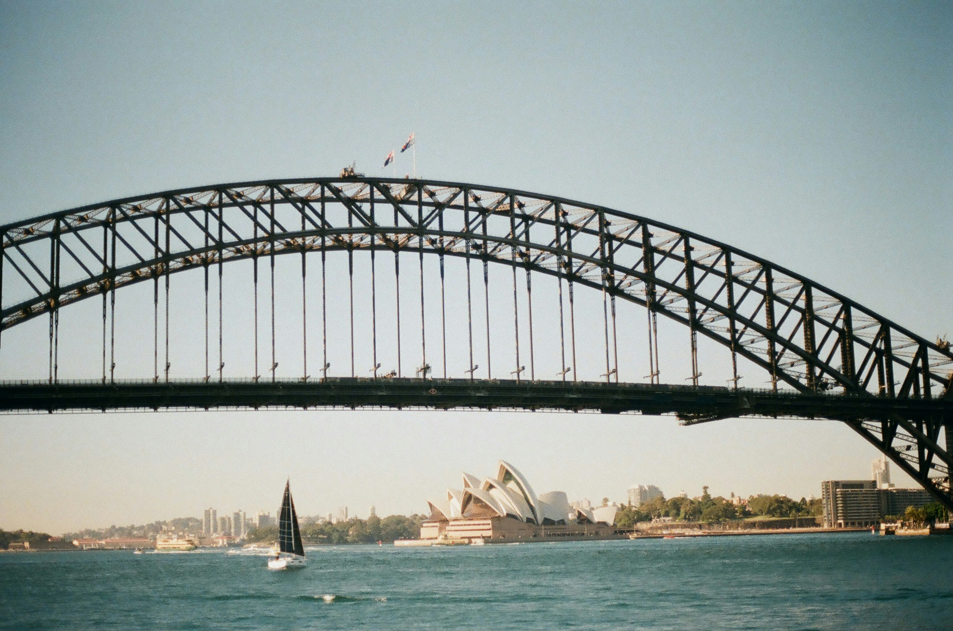 white sailboat on sea under bridge during daytime