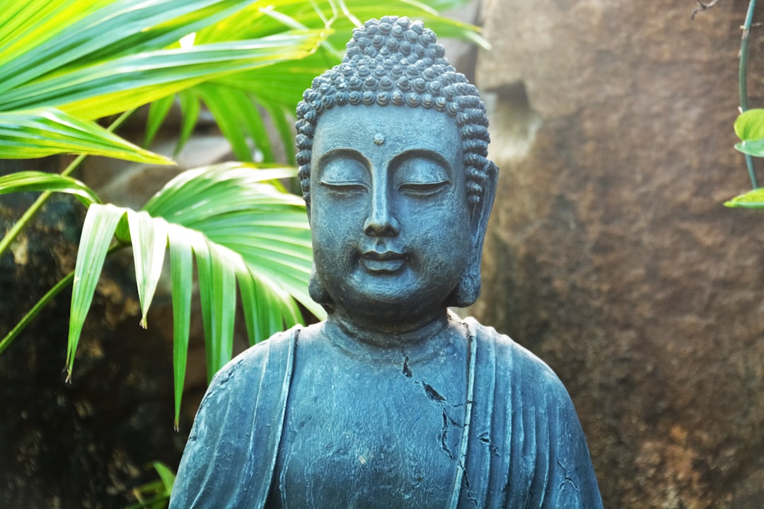 blue buddha statue near brown wall