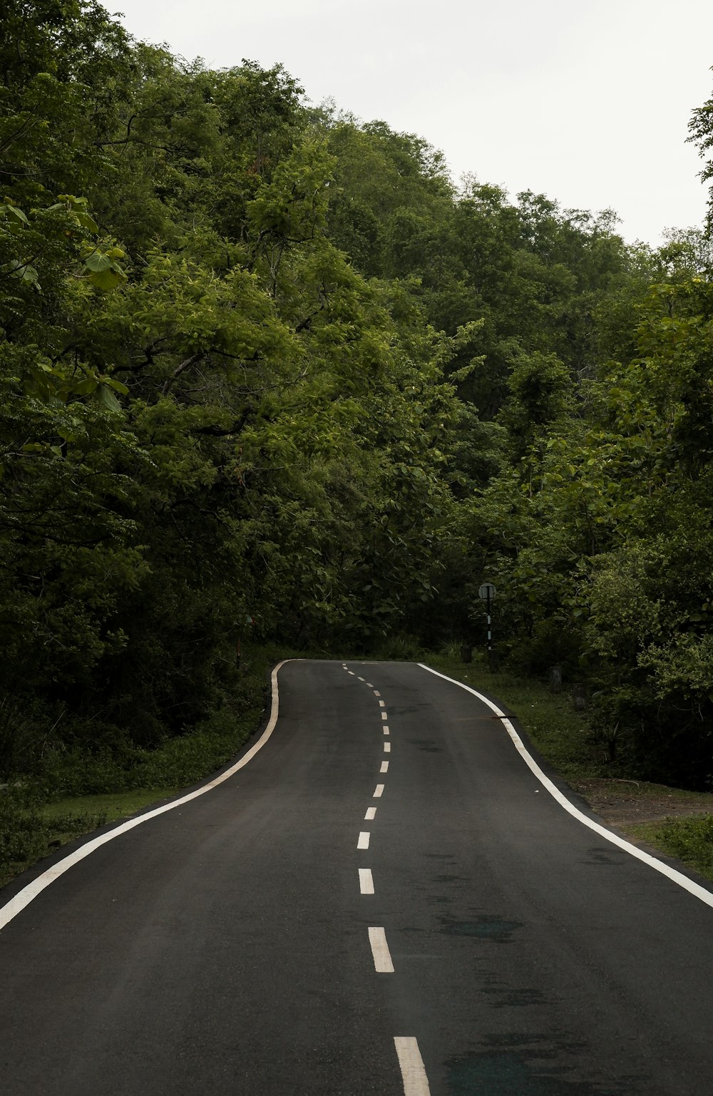 gray concrete road between green trees during daytime