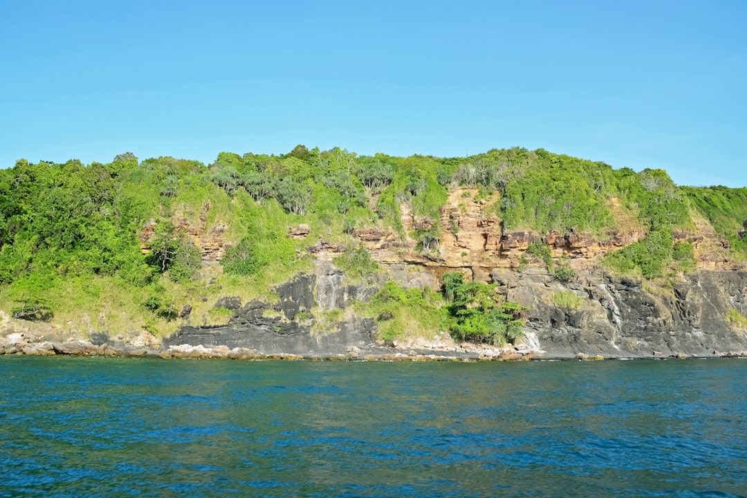 green trees on mountain beside sea during daytime