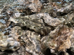 Close-up rendering of crystalline water flowing through soil layers.