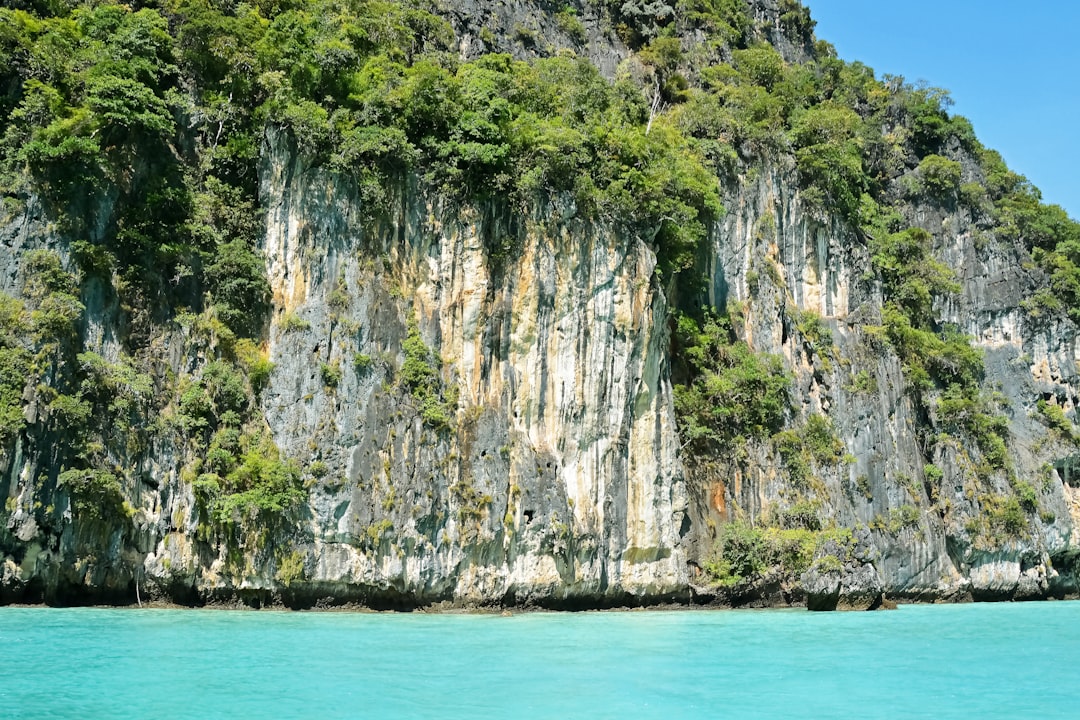 gray and green rock formation beside body of water during daytime
