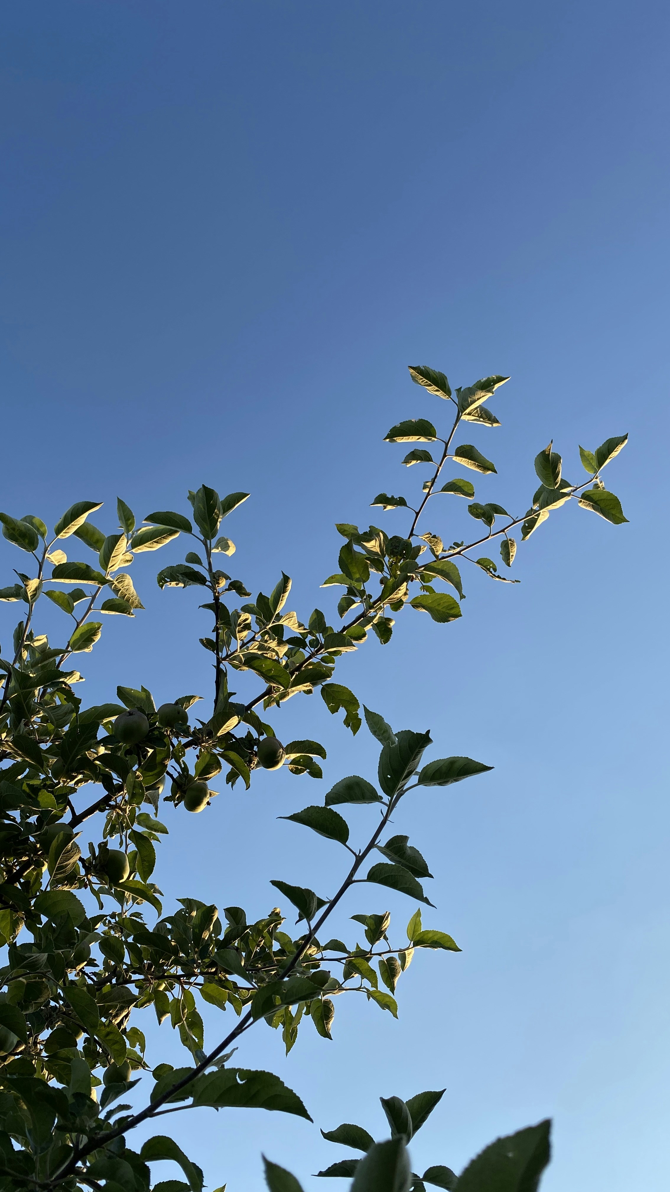 Photo by knyaginyaanna