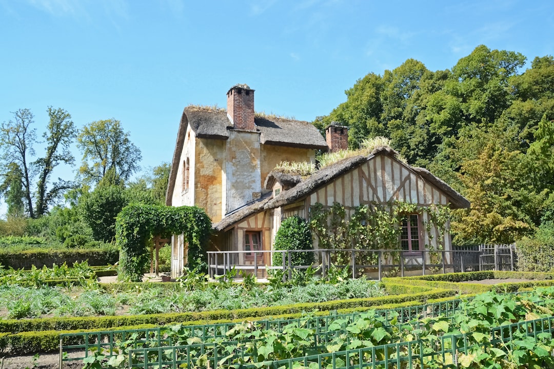 brown wooden house surrounded by green trees under blue sky during daytime