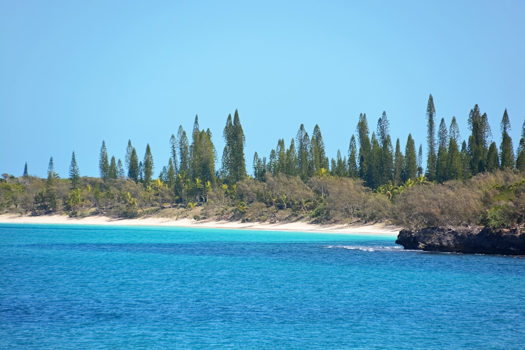 green trees on island during daytime