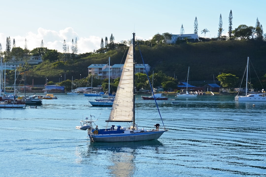 white and blue sail boat on sea during daytime