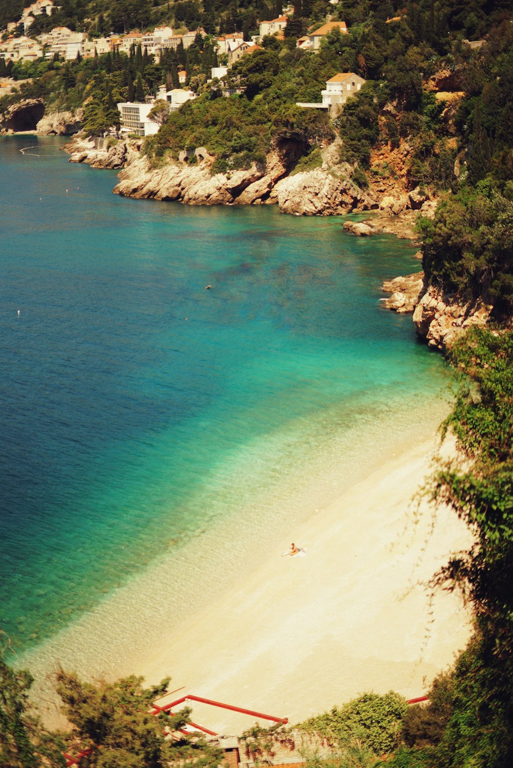 people on beach during daytime