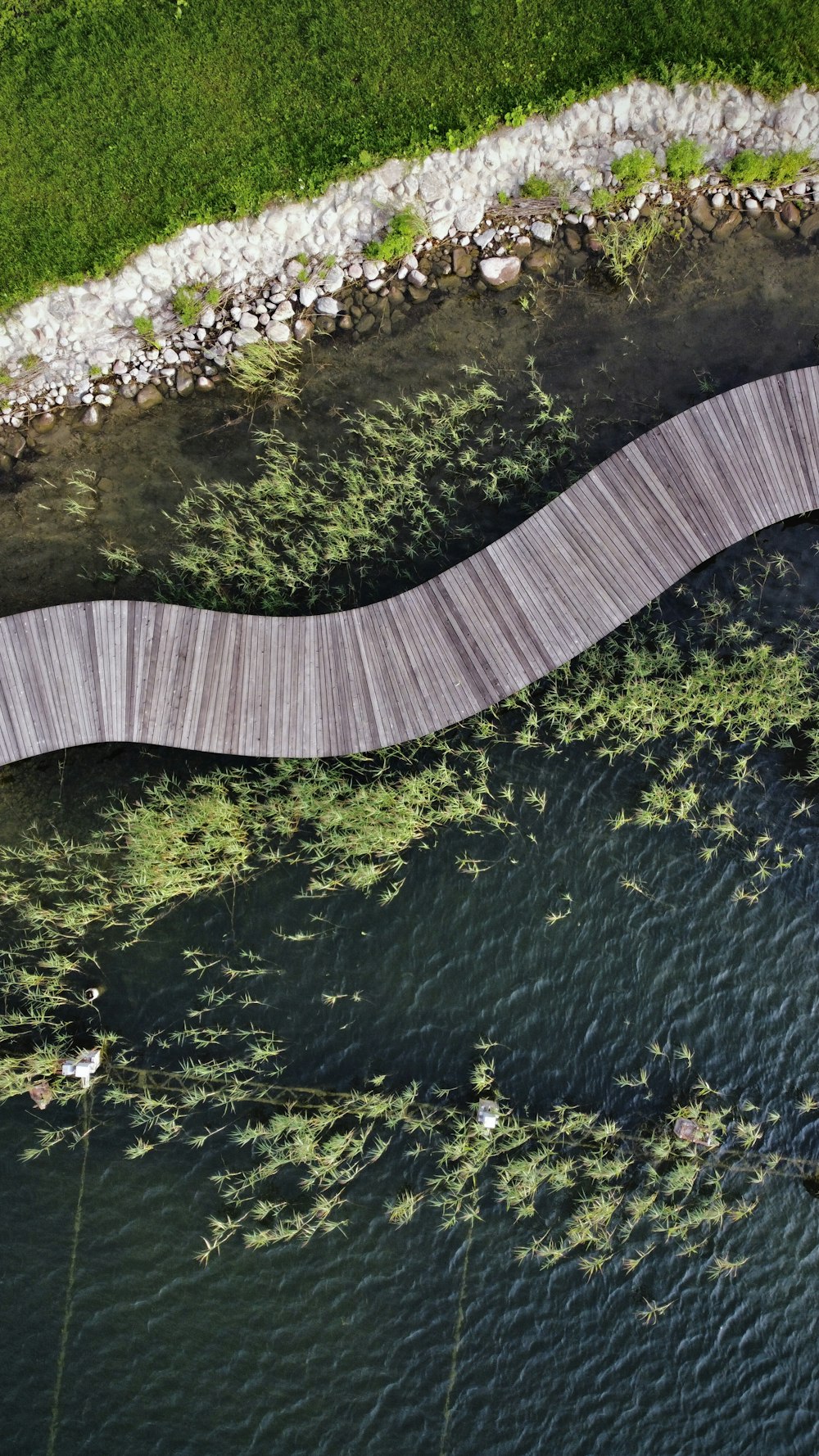 aerial view of river between green trees during daytime