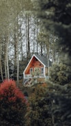 A wooden A-frame house is nestled in a forested area, surrounded by tall trees and lush greenery. The house features large windows, a small balcony, and a solar panel on its side. The landscape is dotted with vibrant green and red foliage, creating a serene and secluded atmosphere.