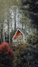 A wooden A-frame house is nestled in a forested area, surrounded by tall trees and lush greenery. The house features large windows, a small balcony, and a solar panel on its side. The landscape is dotted with vibrant green and red foliage, creating a serene and secluded atmosphere.