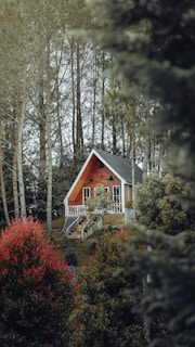 A wooden A-frame house is nestled in a forested area, surrounded by tall trees and lush greenery. The house features large windows, a small balcony, and a solar panel on its side. The landscape is dotted with vibrant green and red foliage, creating a serene and secluded atmosphere.