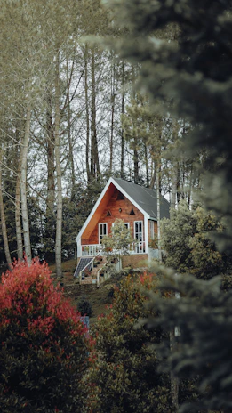 Handcrafted eco-friendly homes nestled among tall trees with solar panels on the roofs.