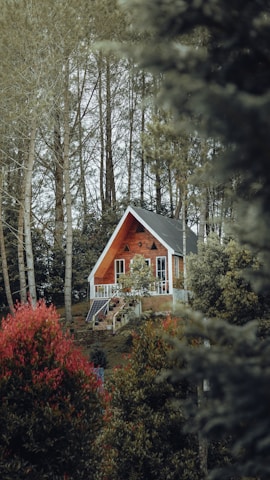 A wooden A-frame house is nestled in a forested area, surrounded by tall trees and lush greenery. The house features large windows, a small balcony, and a solar panel on its side. The landscape is dotted with vibrant green and red foliage, creating a serene and secluded atmosphere.