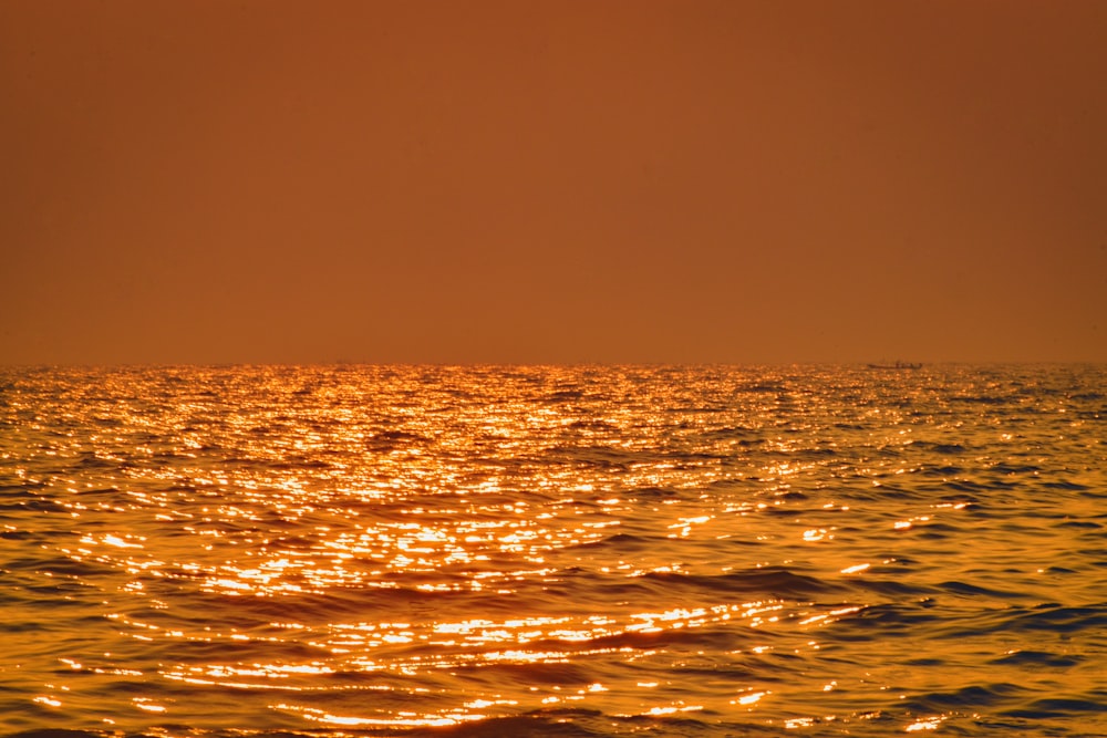 body of water during sunset