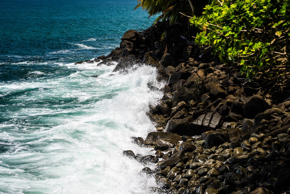 brown rocks near body of water during daytime