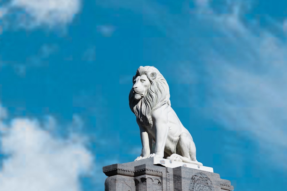 white lion statue under blue sky during daytime