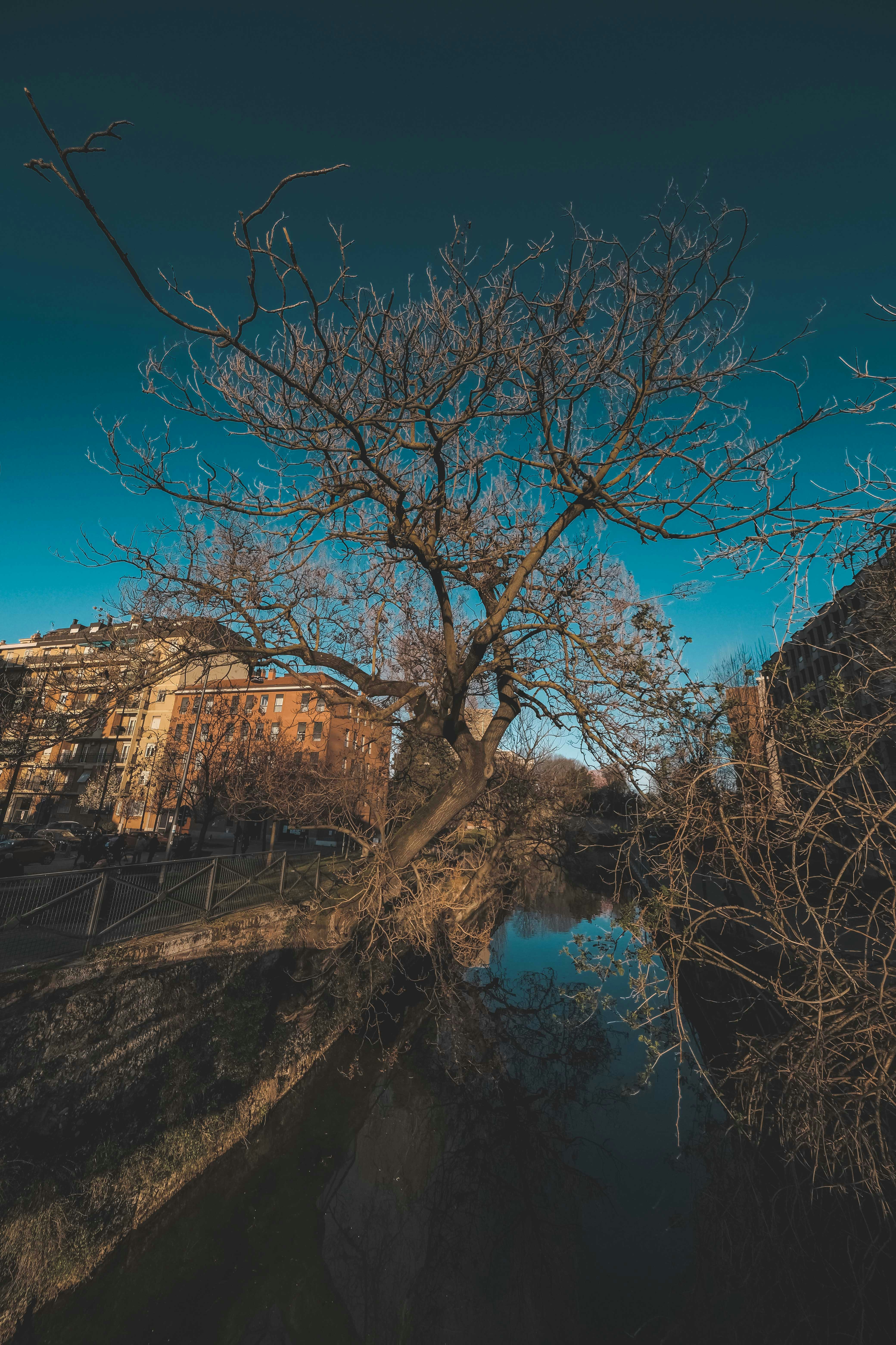 Photo by francesco_ungaro