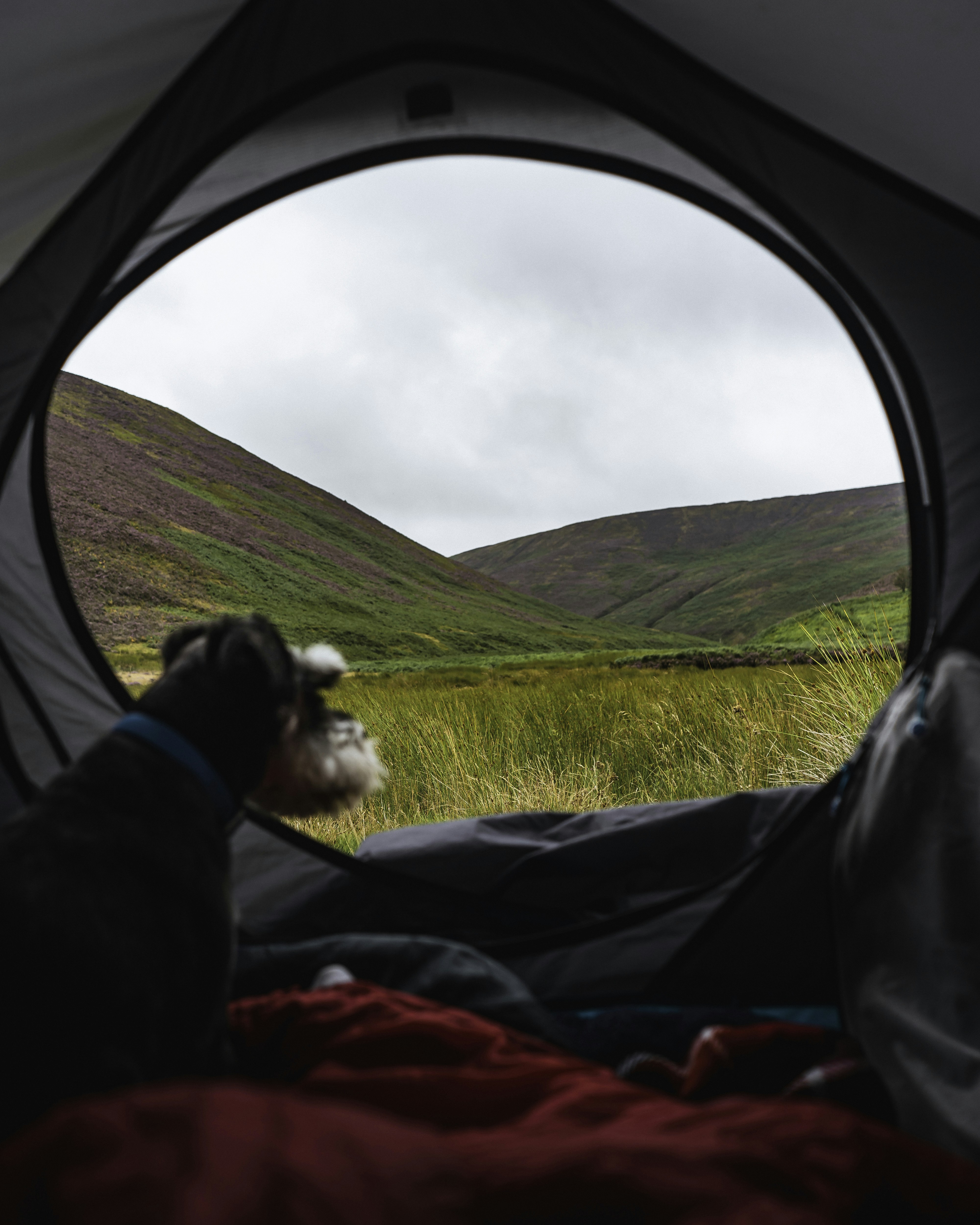 Views fit for a king