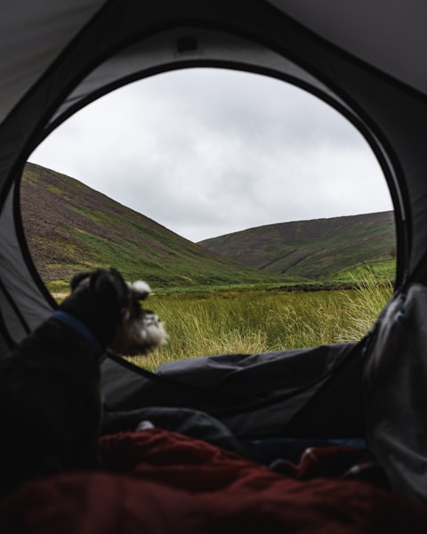 Best Dog-Friendly Campsites UK 2026: Tent, Glamping and Motorhome