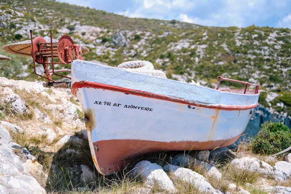 red and white boat on green grass during daytime