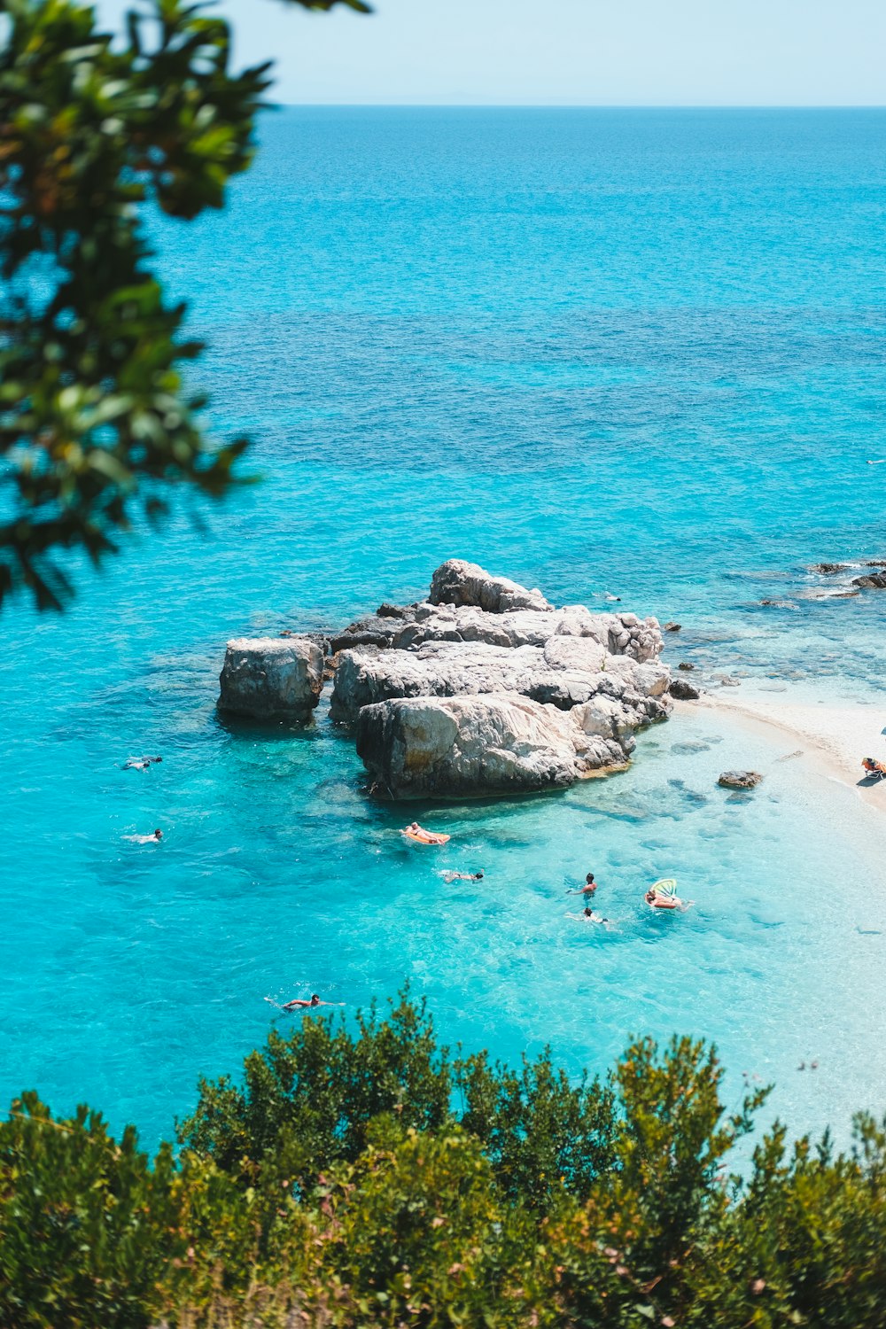 people swimming on sea during daytime