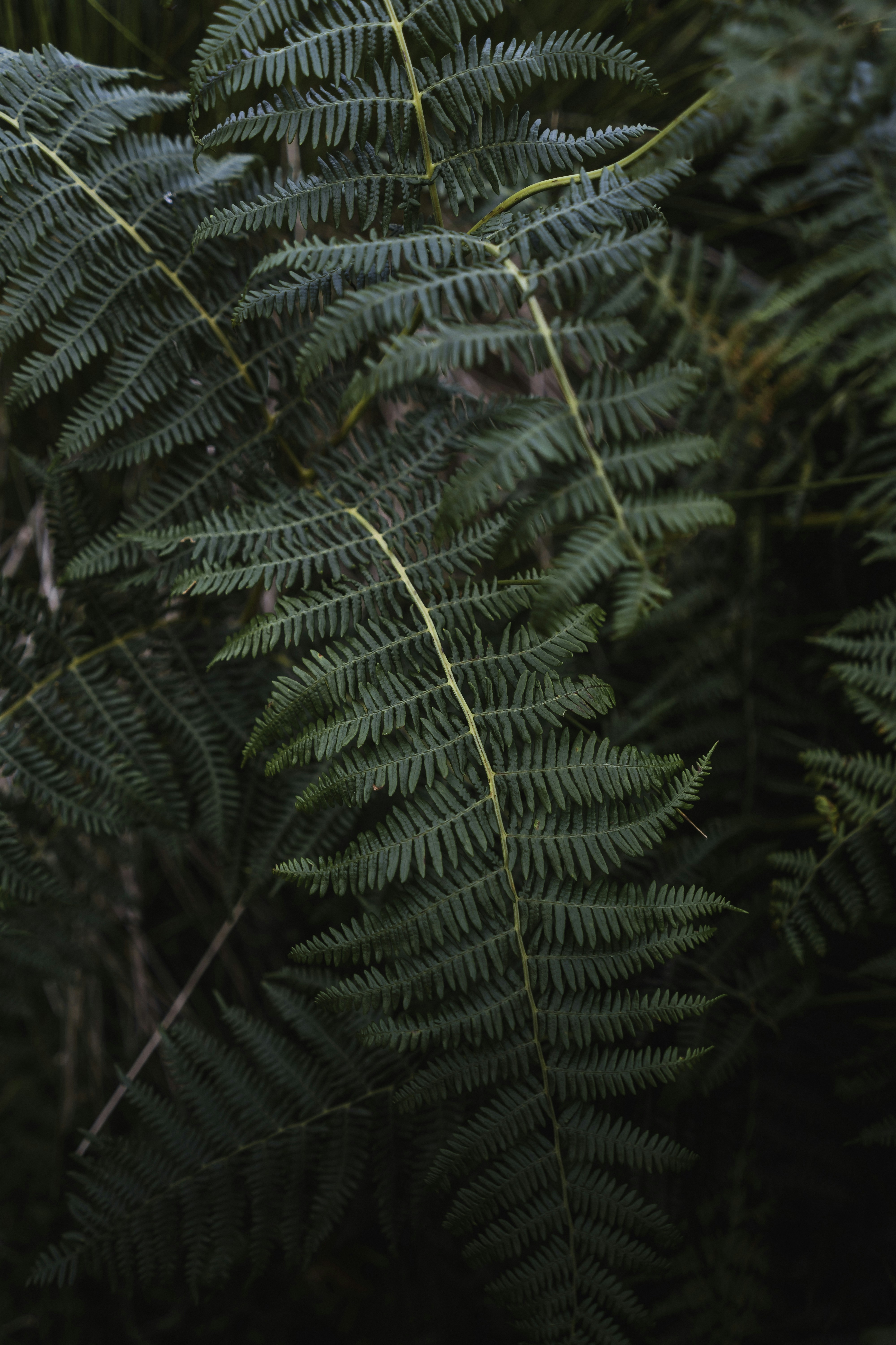 Photo by samuelgirven