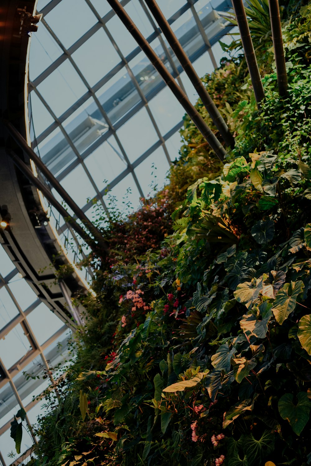 green and brown plants inside building