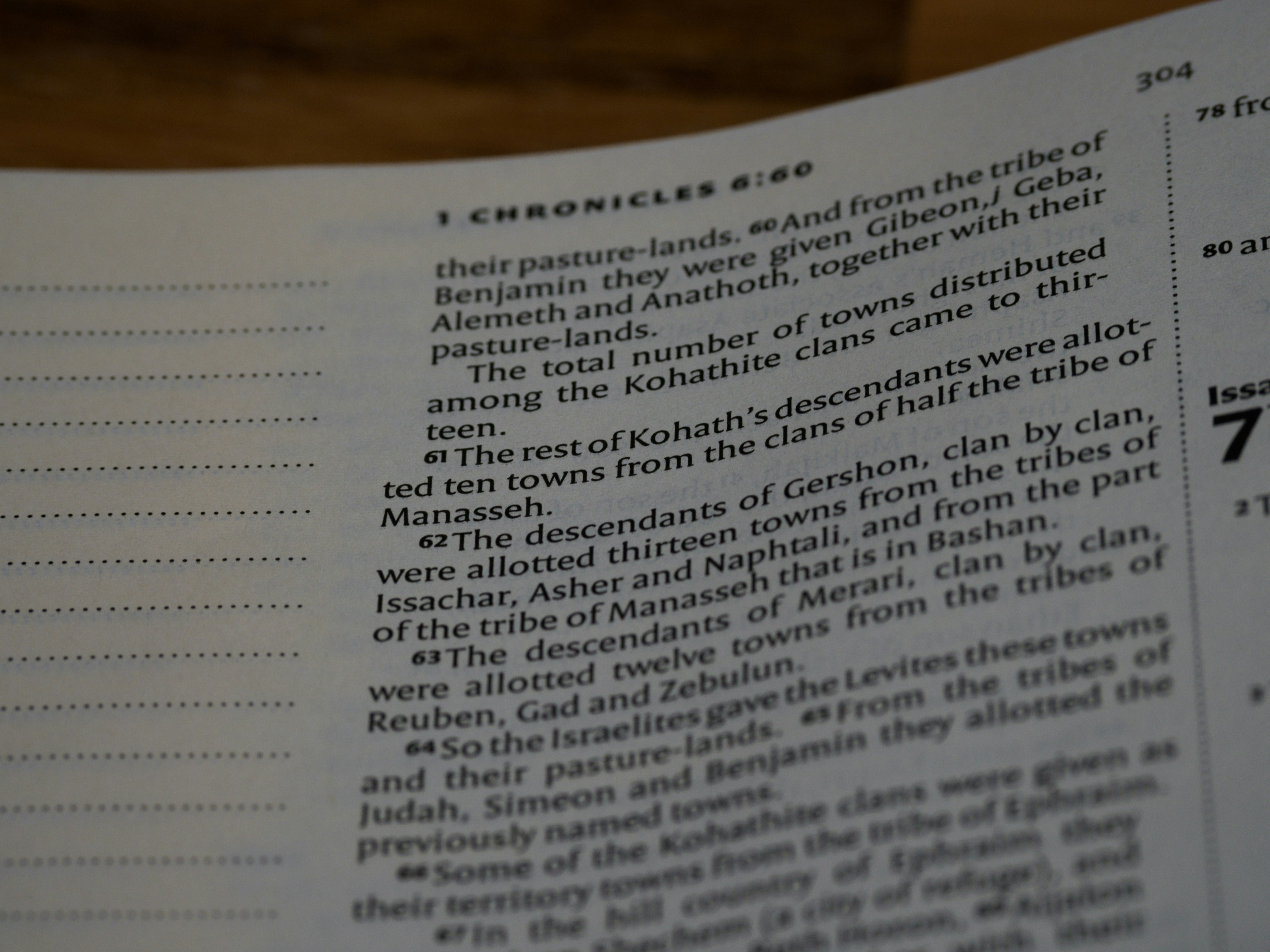 close up, bokeh, macro, blur, blurred background, close focus, bible, old testament, hebrew bible, christian, judaism, history, text, reading, bible study, devotions, text, NIV, New International Version, type, typography, canon, christianity, holy scripture, holy bible, scripture, chronicles, 1 chronicles, דִּבְרֵי־הַיָּמִים, Diḇrê Hayyāmîm, hebrew bible, final book, ketuvim, tanakh, septuagint, Paralipoménōn,  Books of Paralipomenon, first chronicles, historical, 
