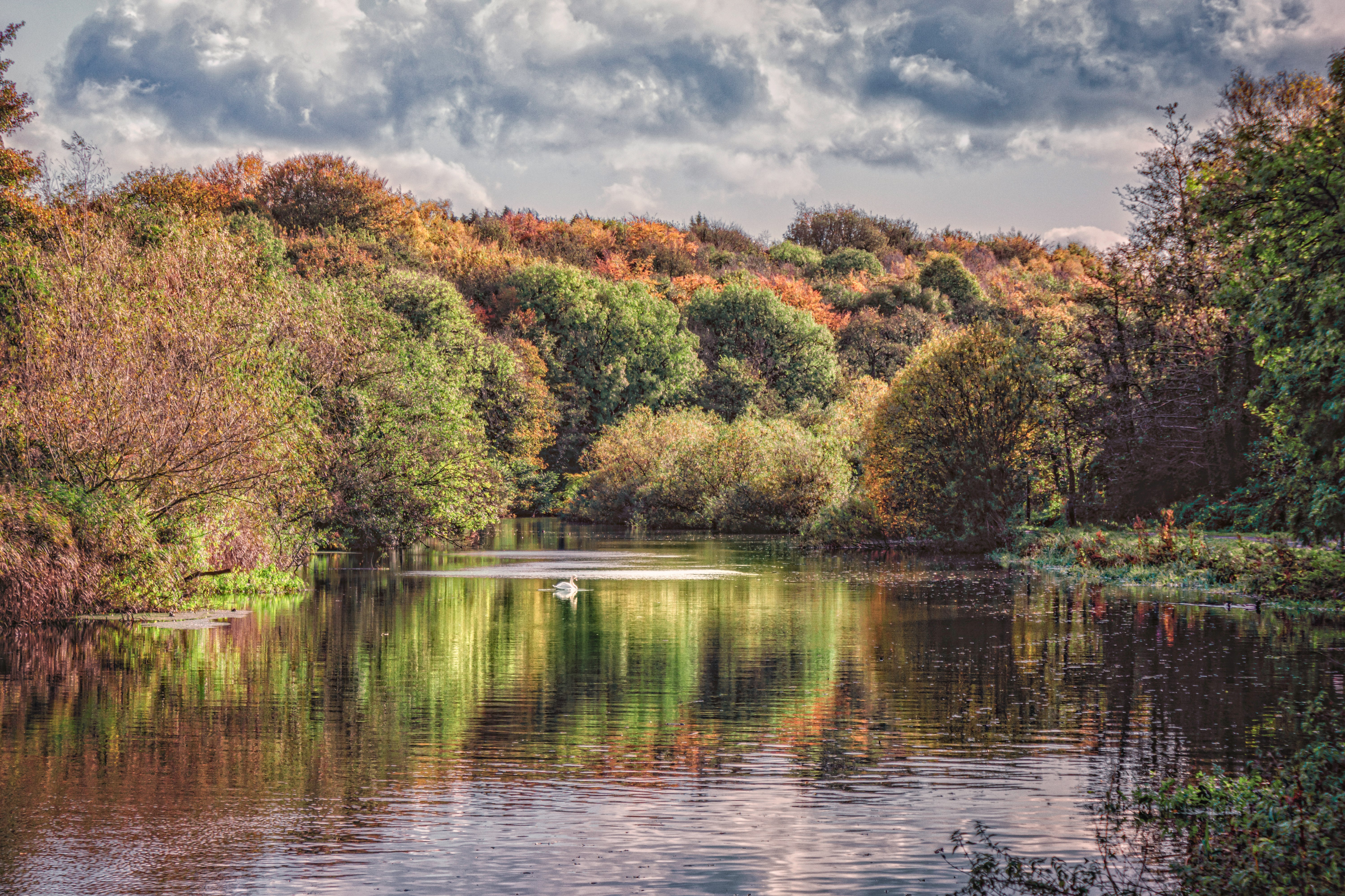 green and brown trees beside river under cloudy sky during daytime