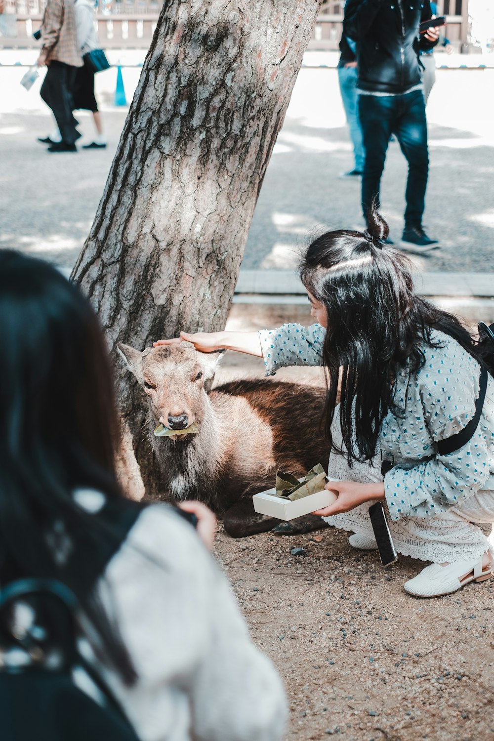 woman in gray long sleeve shirt sitting beside brown cow during daytime