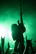 silhouette of people raising hands