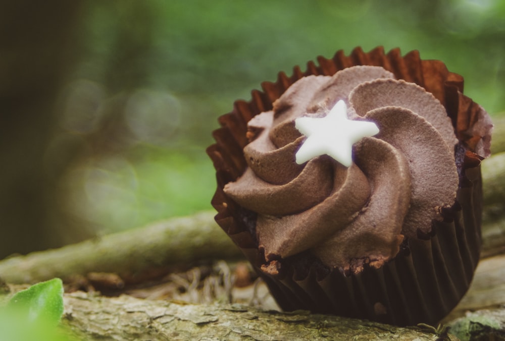 brown cupcake with white star on top