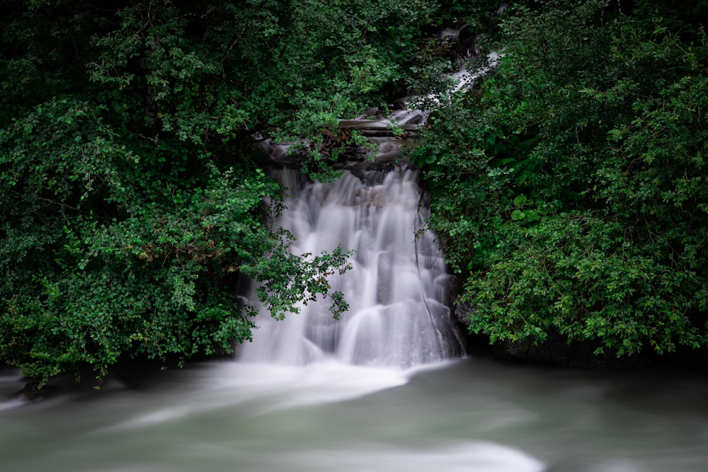 waterfalls in the middle of green trees