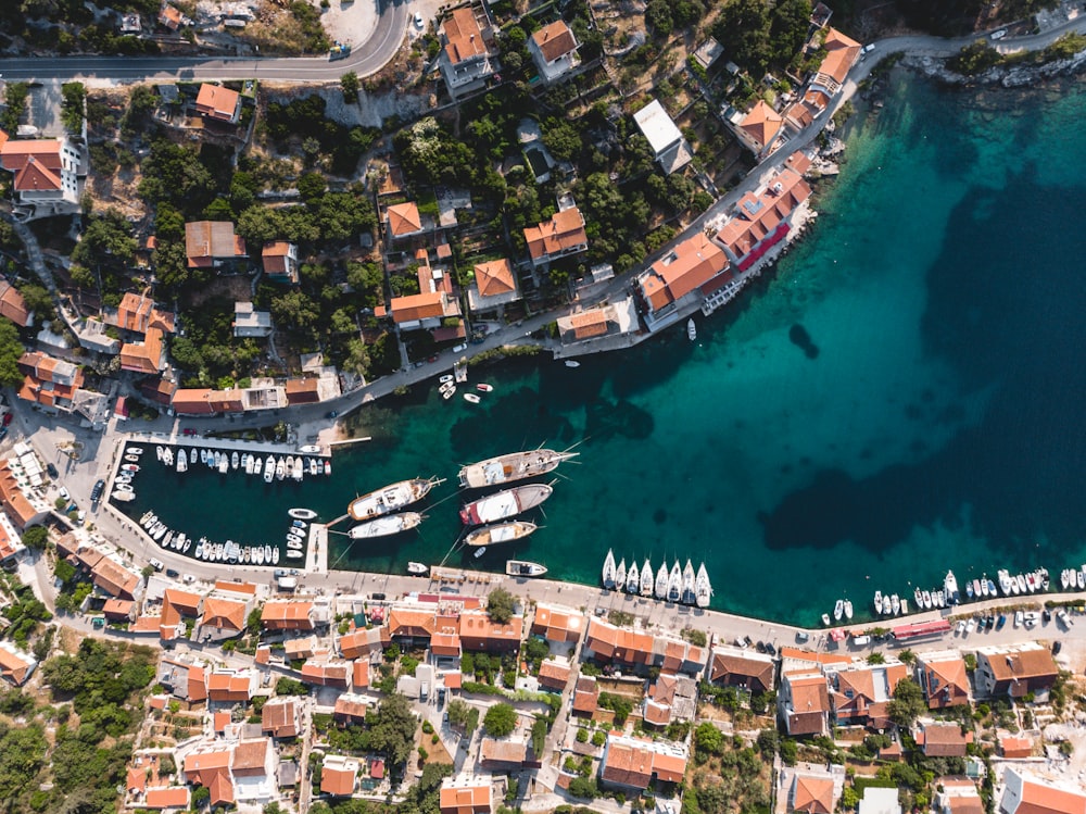 aerial view of city buildings during daytime