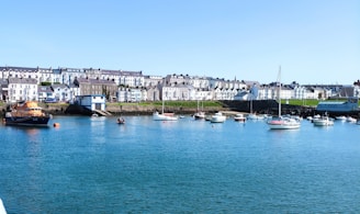 A cozy New England coastal home bathed in soft morning light with sailboats gently rocking in the harbor beyond.