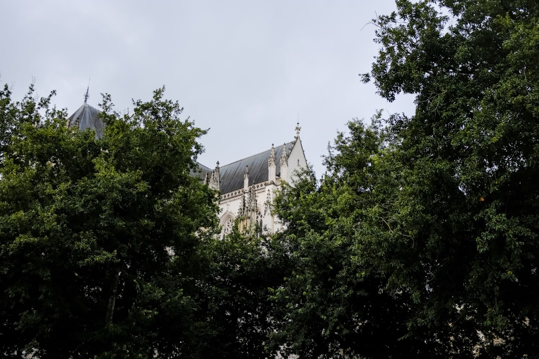 green trees near brown concrete building during daytime