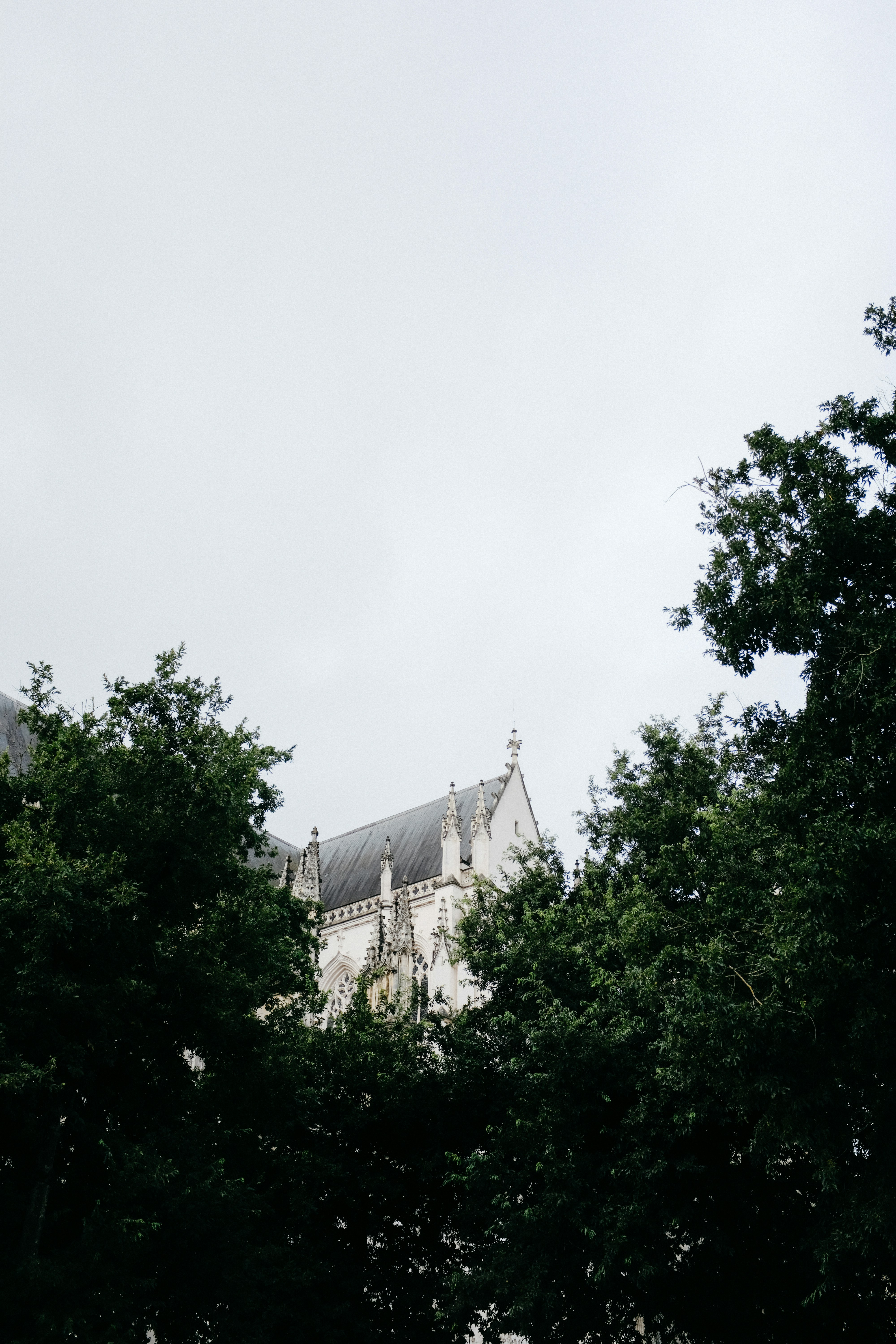 Photo by adrienolichon